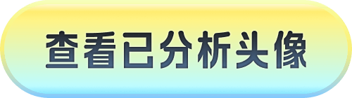 查看已分析头像